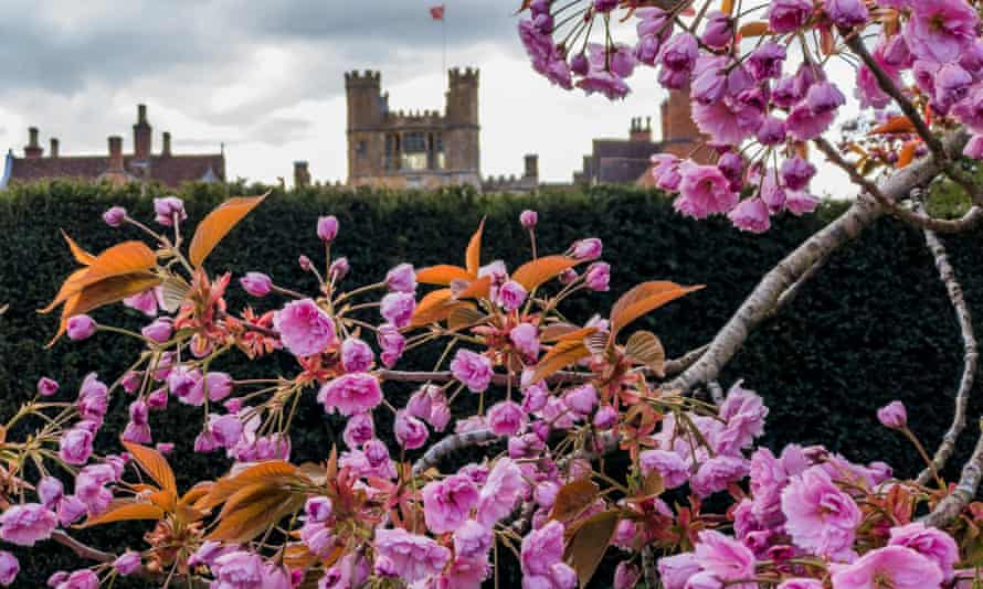 Die formalen Gärten eines Herrenhauses, Coughton Court, Warwickshire, England, UKMHC88P Die formalen Gärten eines Herrenhauses, Coughton Court, Warwickshire, England, Großbritannien
