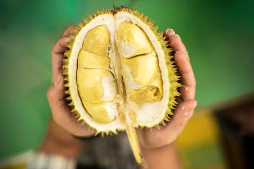 Der bösartige Durian.