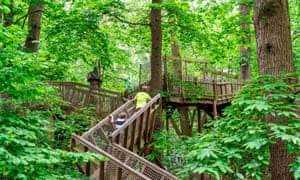 BeWILDerwood Cheshire Trail