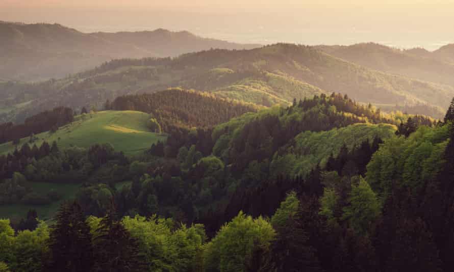 Letzte warme Sonnenstrahlen berühren den Schwarzwald bei Freiburg.