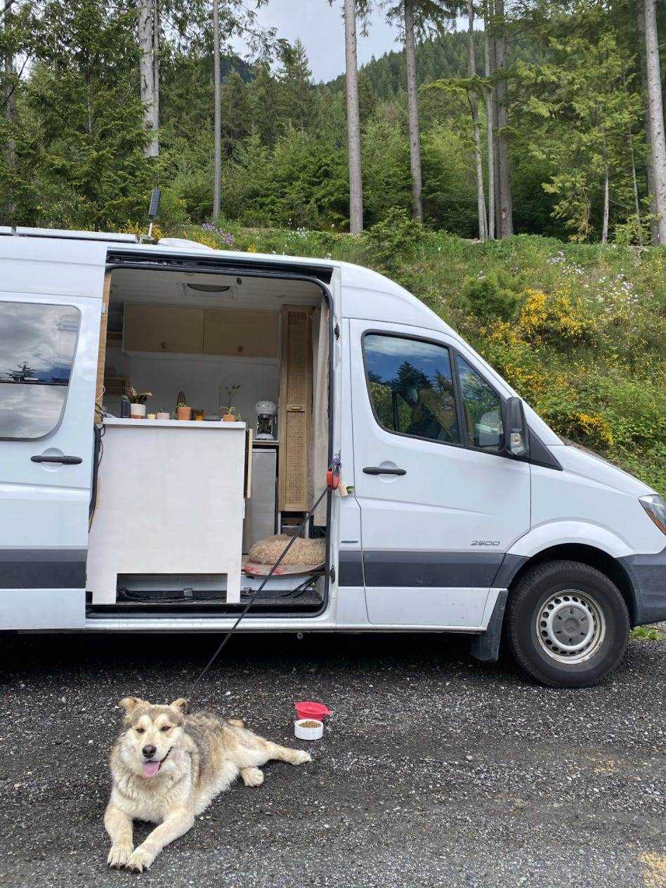 Eine Außenansicht von Sabrinas und Nicks Van mit einem ihrer Pflegehunde.