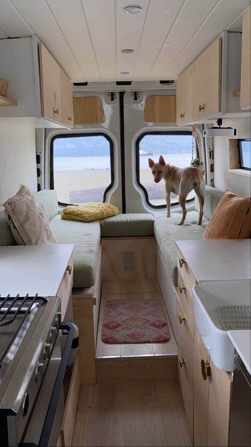 Einer von Sabrinas und Nicks Pflegehunden nutzt den Loungebereich im Van.