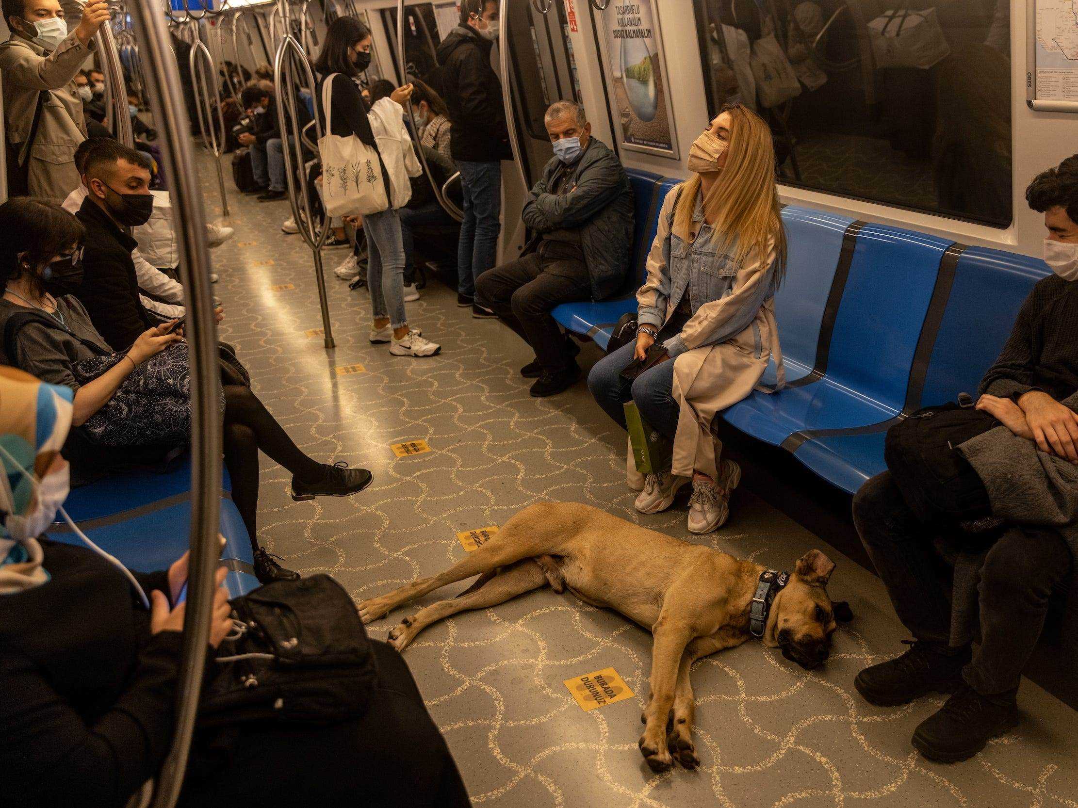 Boji schläft in einer U-Bahn.