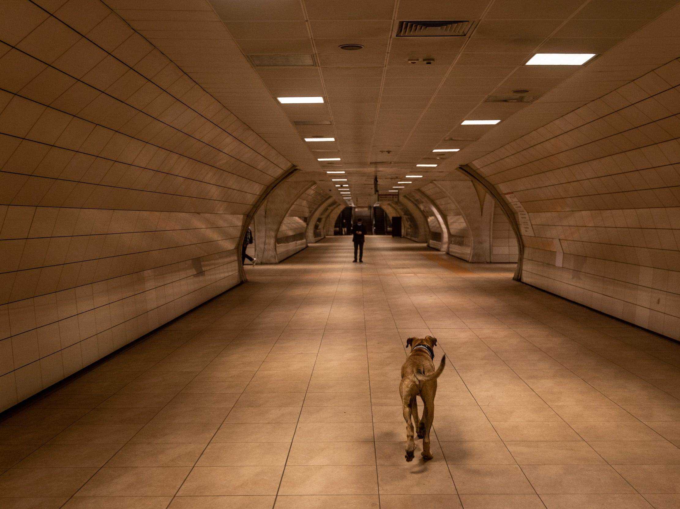 Boji läuft durch die U-Bahn-Station.