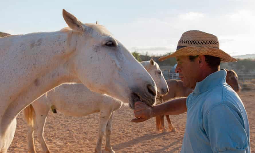 Ein Pferdeflüsterer interagiert auf der Dreams of Horses Farm im Ramla Valley auf Gozo