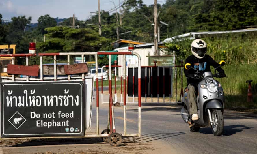 Entlang einer Straße, auf der die Tiere oft herumlaufen, wurden Schilder aufgestellt, die Touristen und Einheimische davor warnen, die Elefanten zu füttern.