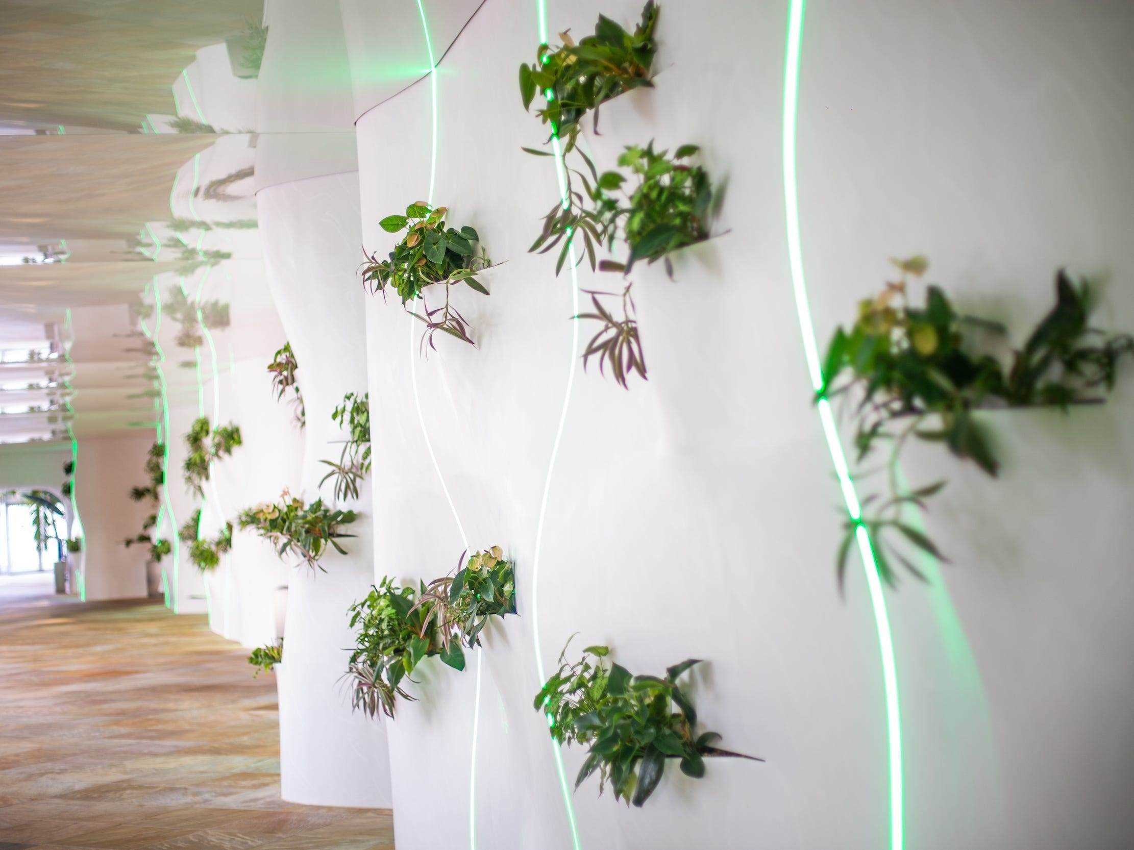 eine Wand mit Pflanzen und neongrünen Lichtern