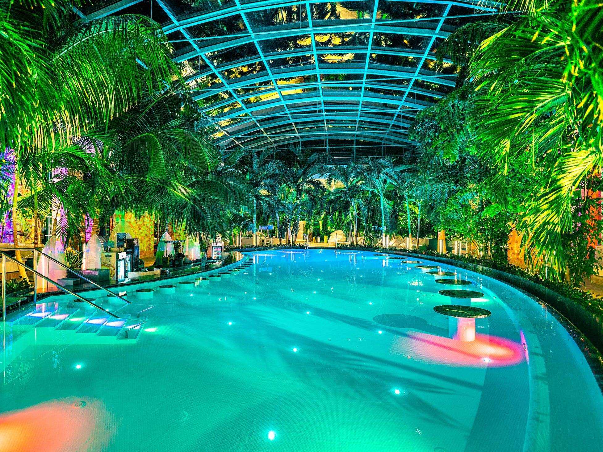 ein Pool von Pflanzen mit Lichtern beleuchtet