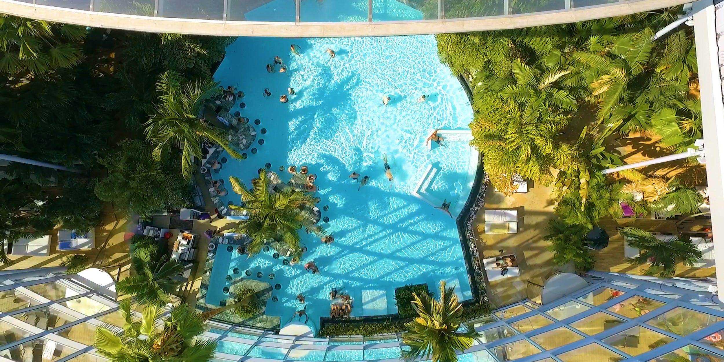 Pool neben Pflanzen unter einer transparenten Kuppel