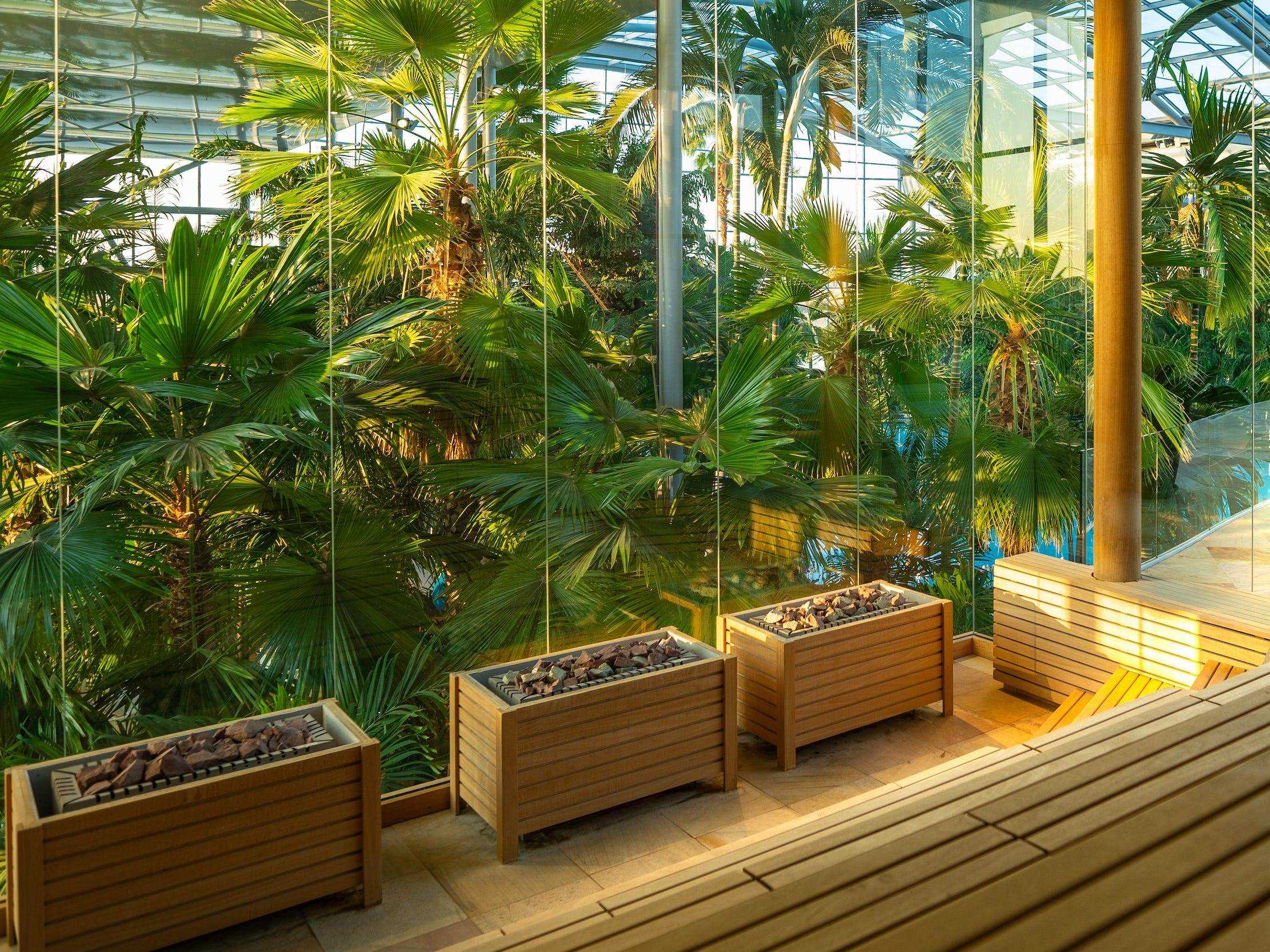 Saunaähnliche Sitzgelegenheiten hinter einer Glaswand mit Blick auf Pflanzen