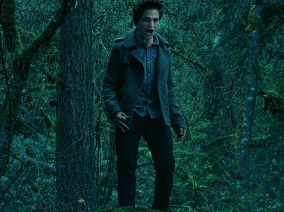 Edward trägt eine graue Jacke und steht in der Dämmerung im Wald