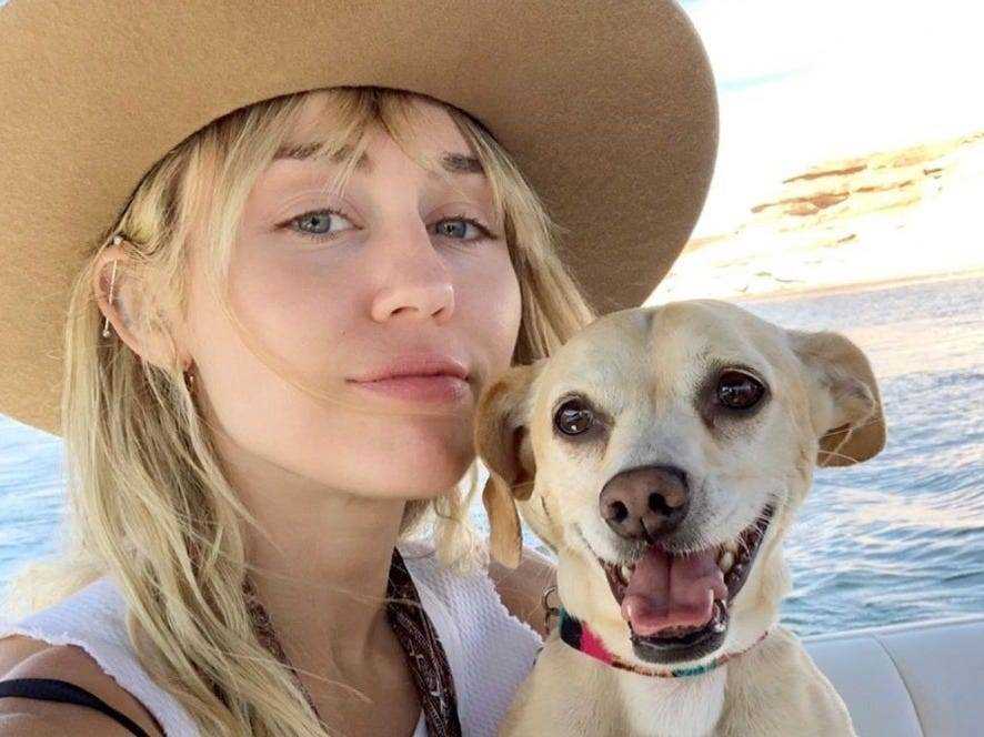 Miley Cyrus mit Hund