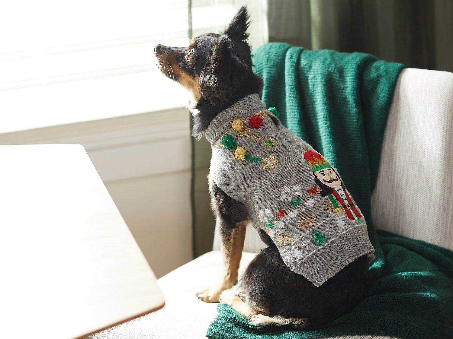 kleiner schwarzer Chihuahua mit grauem Pullover mit gelben, roten, grünen Pompons und weihnachtlichem Nussknacker-Patch