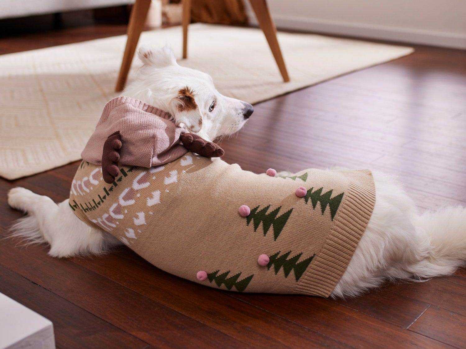 Ein weißer Hund liegt auf einem Holzboden und trägt einen braunen Pullover mit weißen Nähten und grünen Weihnachtsbäumen