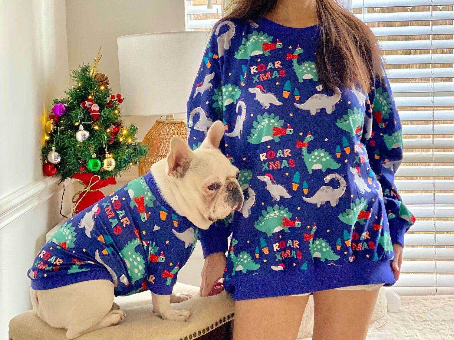Eine Bulldogge, die einen blauen Pullover mit Weihnachtsdinosaurier-Prints trägt, und ein Mensch, der denselben Pullover trägt