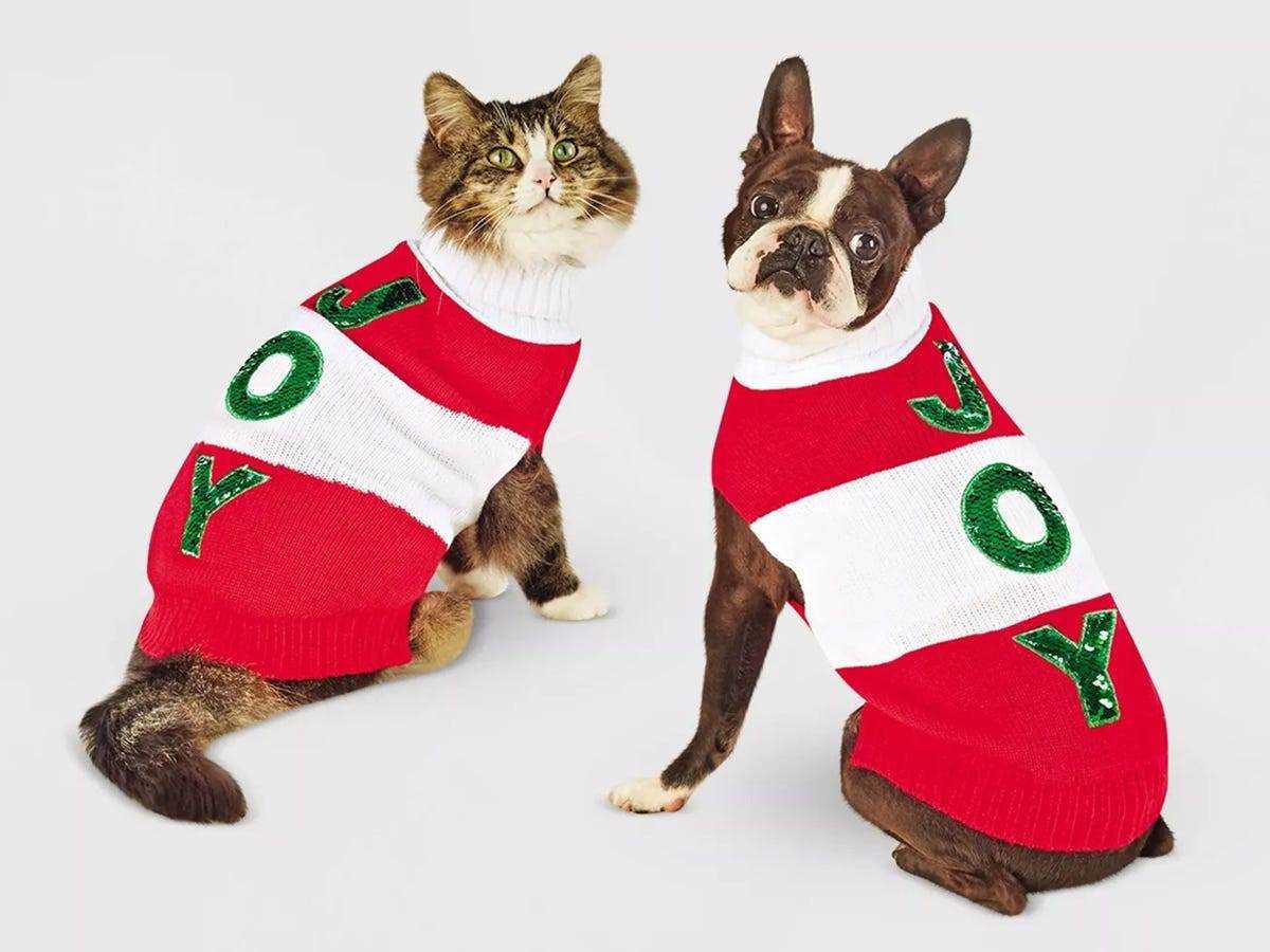 Ein kleiner Hund und eine Katze tragen beide rot-weiß gestreifte Pullover mit der Aufschrift 