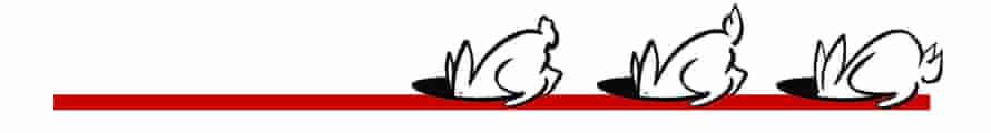 Illustration von schwarzen und weißen Kaninchen, die durch eine rote Linie in ihre Löcher gehen