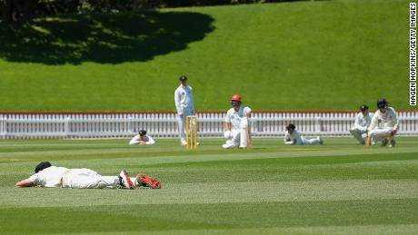 Neuseeländisches Cricket-Match unterbrochen, da das Spielfeld von Bienen überfallen wurde