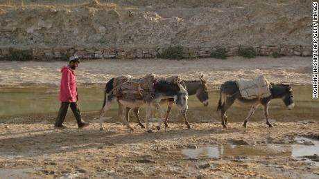 Ein Mann führt seine Esel am 15. Oktober durch ein ausgedörrtes Feld in Bala Murghab, Provinz Badghis, Afghanistan.