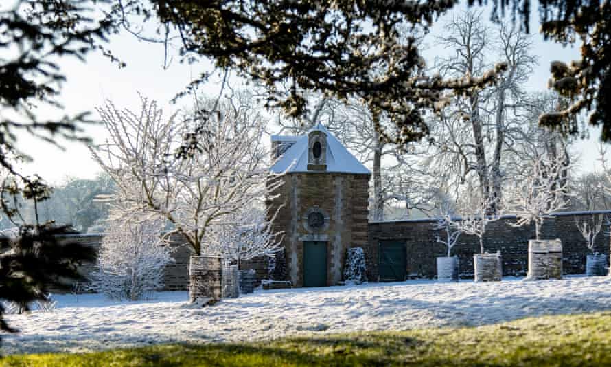 Schneeglöckchen-Schutzgebiet: Genießen Sie den Duft in Easton in Lincolnshire.