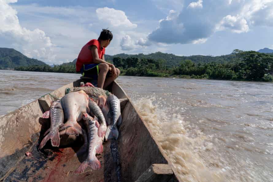 Ein junger Esse Ejja Junge sitzt auf einem Boot voller Fische in einem Fluss