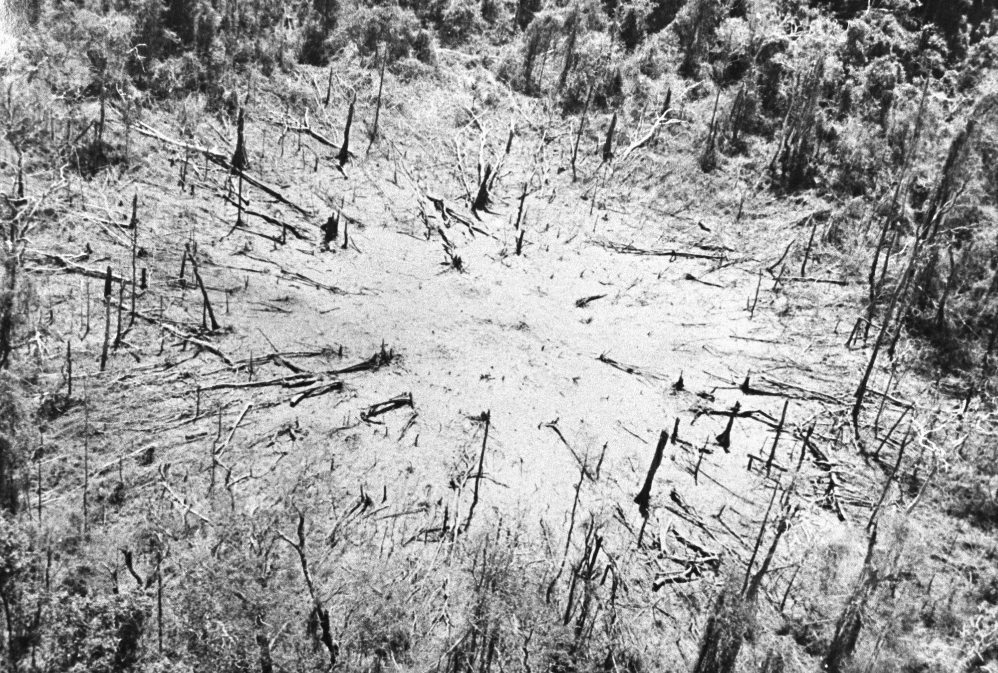 Hubschrauberlandezone des Vietnamkrieges im Dschungel