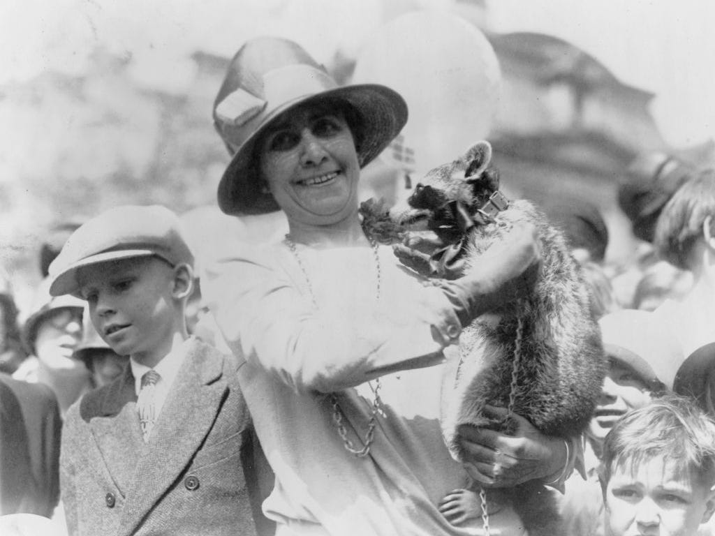 First Lady Grace Coolidge zeigt ihren Haustier-Waschbären, Rebecca, für eine Schar von Kindern bei der Ostereierrolle im Weißen Haus von 1927.