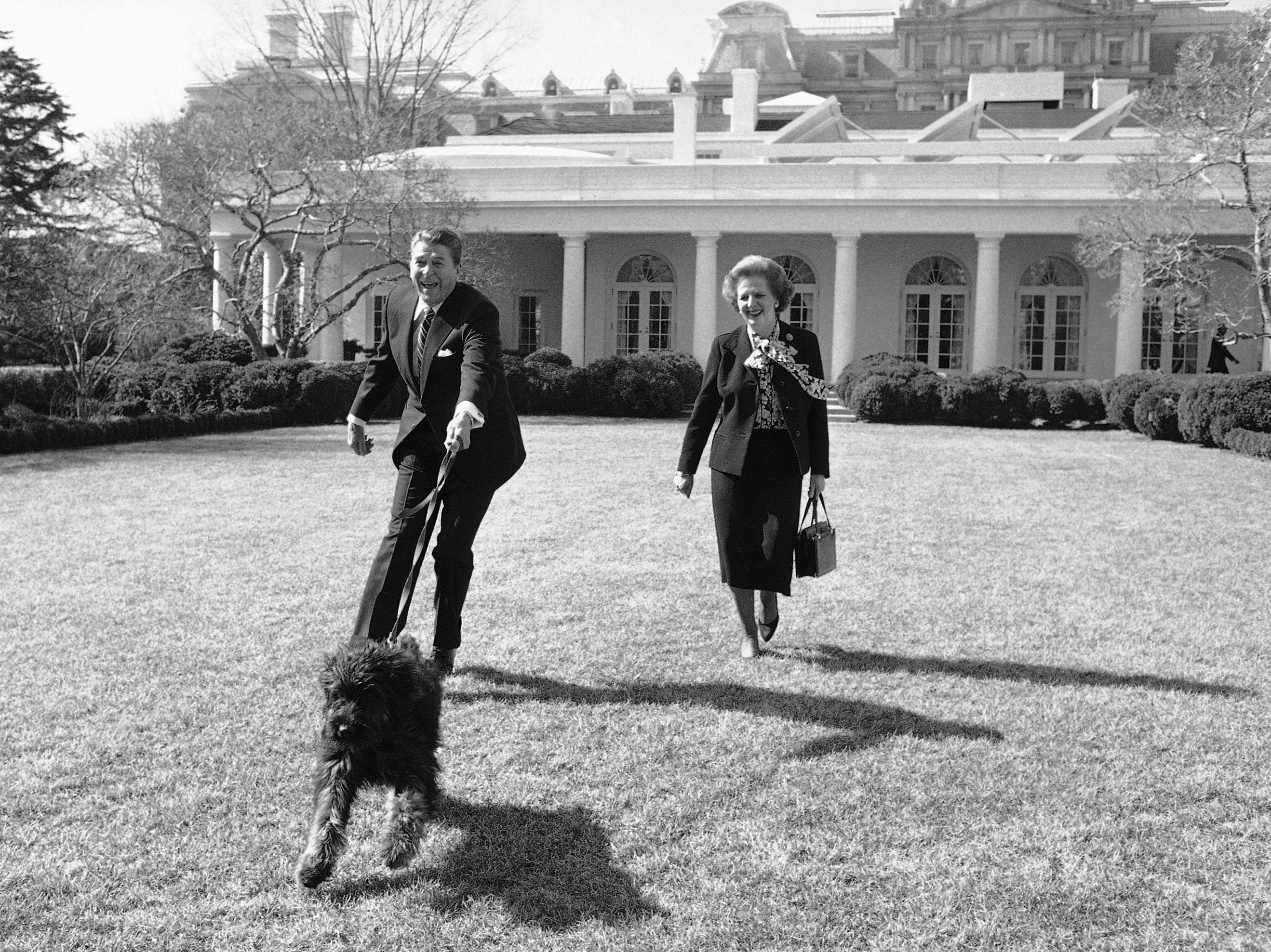 Präsident Ronald Reagan wird von seinem Hund Lucky gezogen