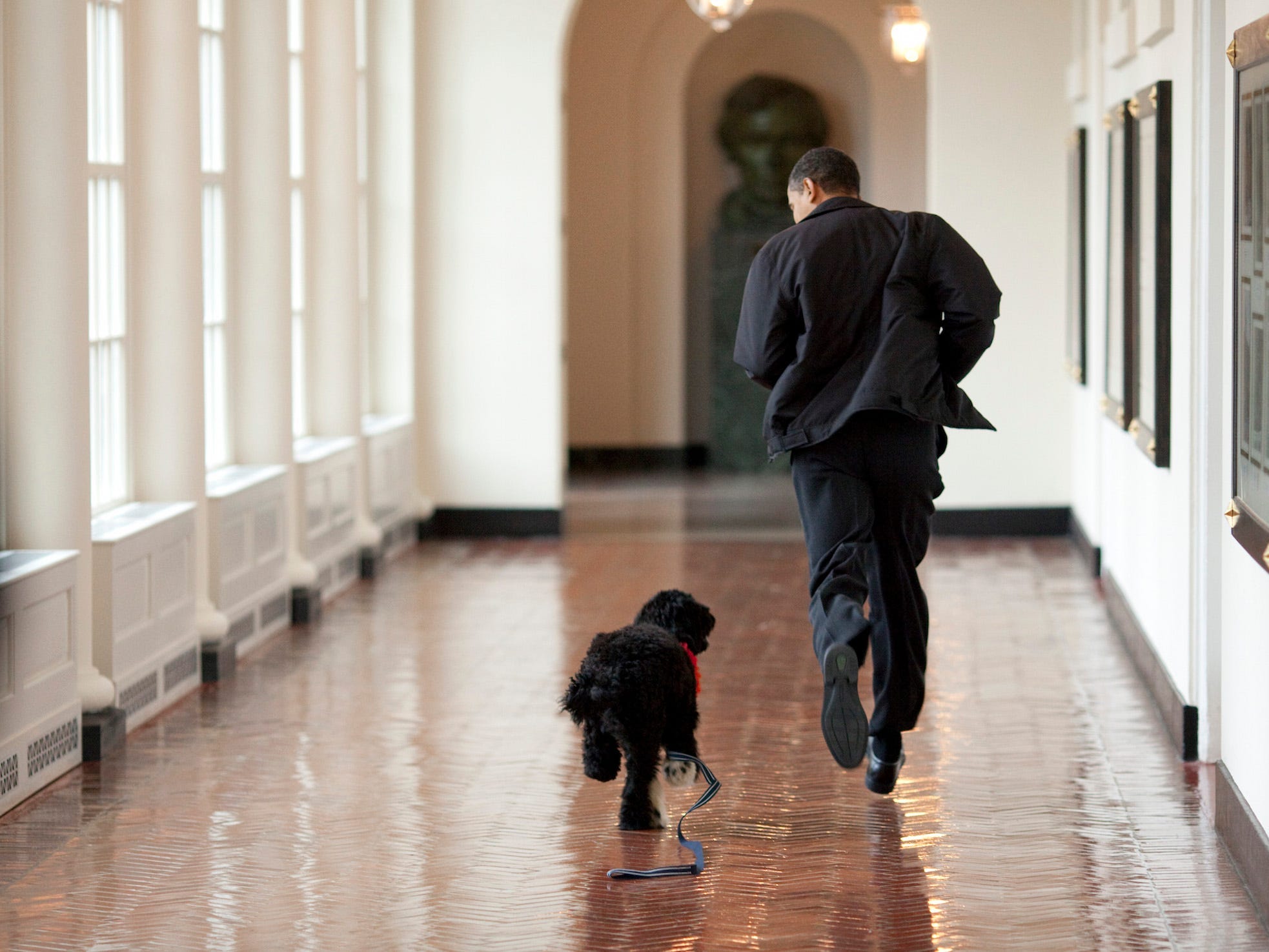 Bo und Präsident Barack Obama laufen durch die Kolonnade