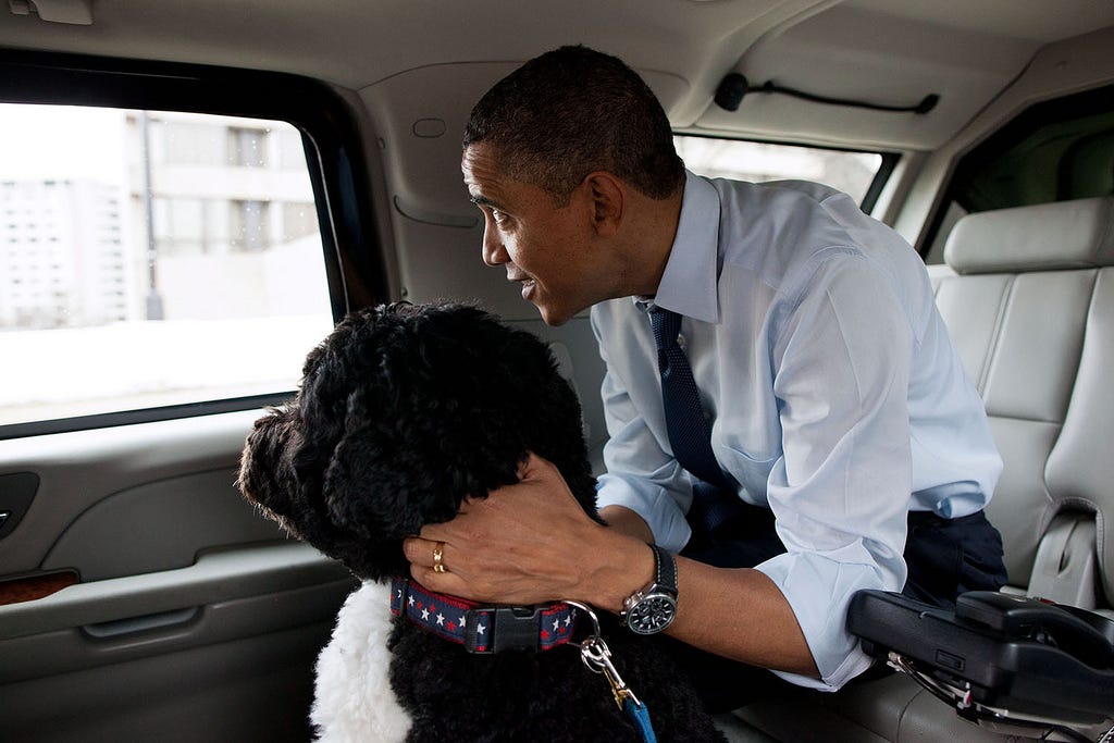 Präsident Barack Obama und Bo im Jahr 2011.