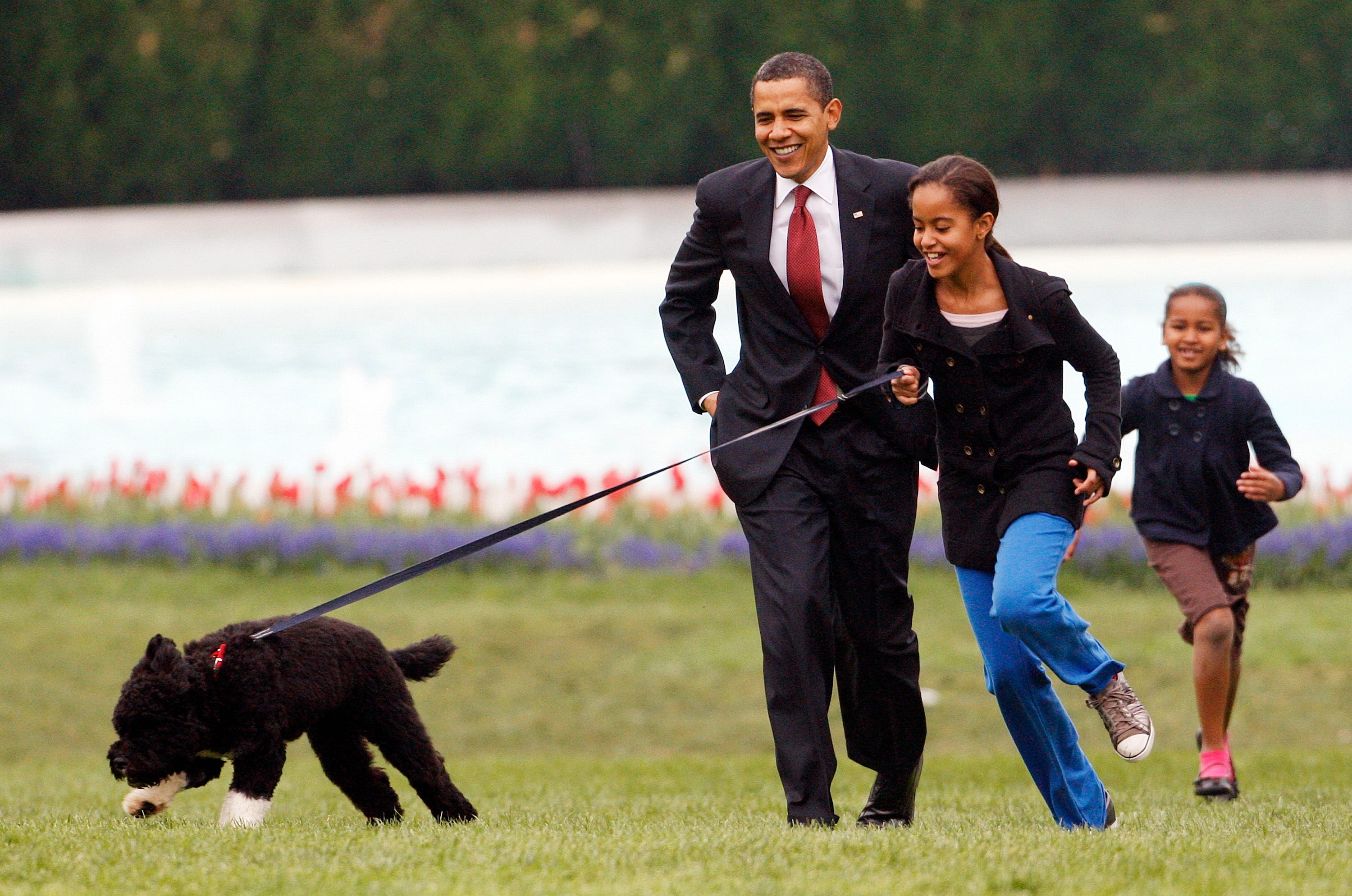 Malia Obama läuft mit Bo, gefolgt von Präsident Barack Obama und Sasha.