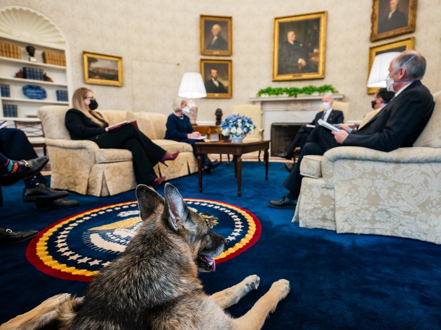 Champ im Oval Office des Weißen Hauses.