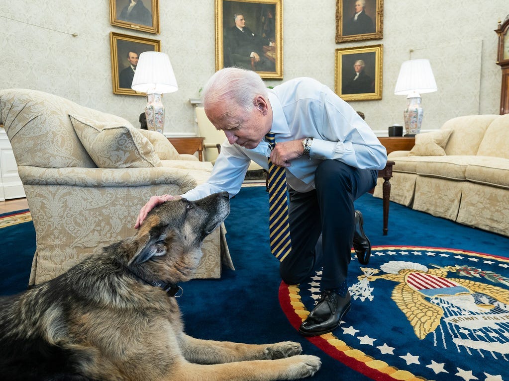 Präsident Joe Biden streichelt den Hund Champ im Oval Office.