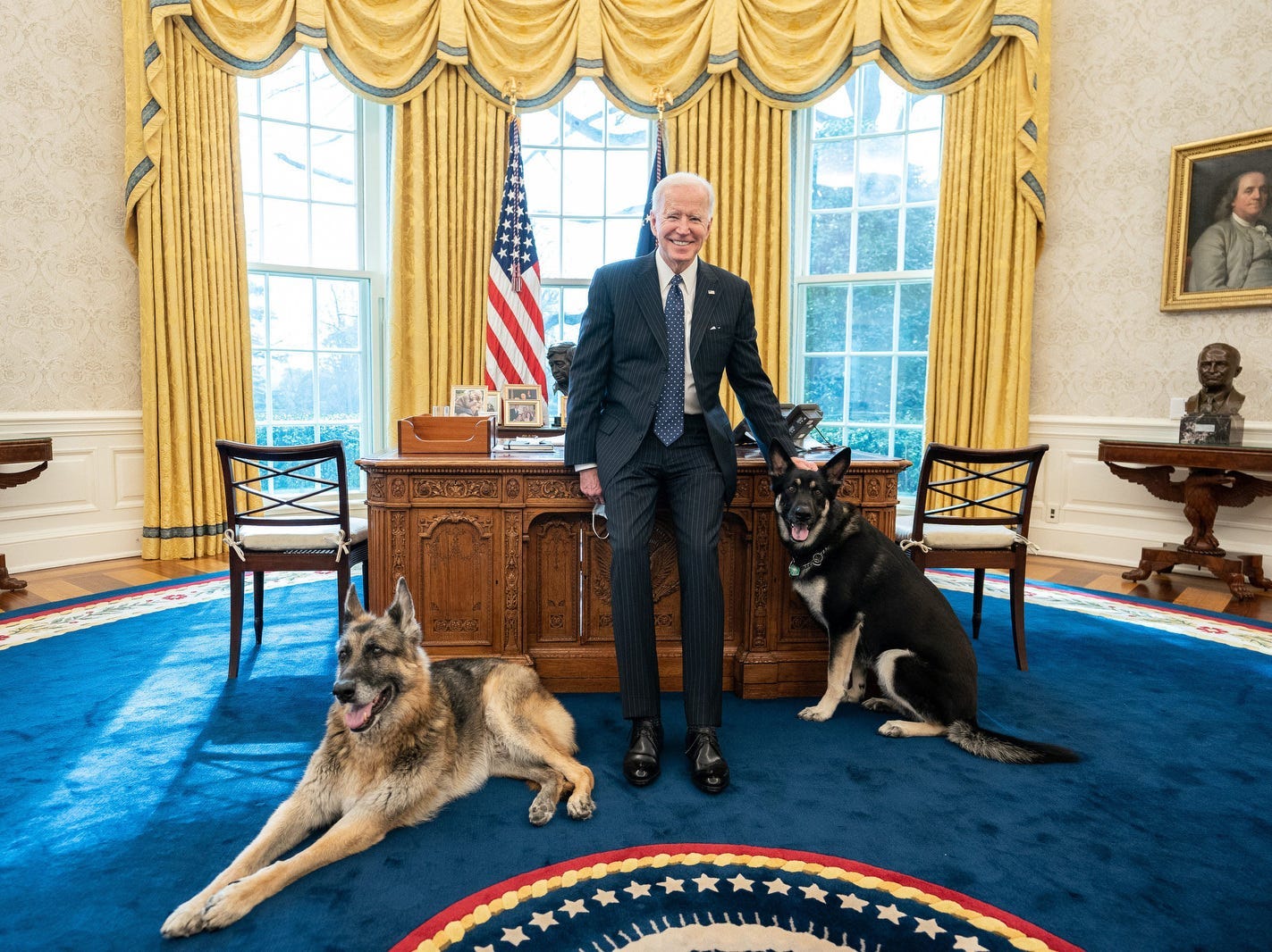 Joe Biden im Oval Office mit Champ und Major