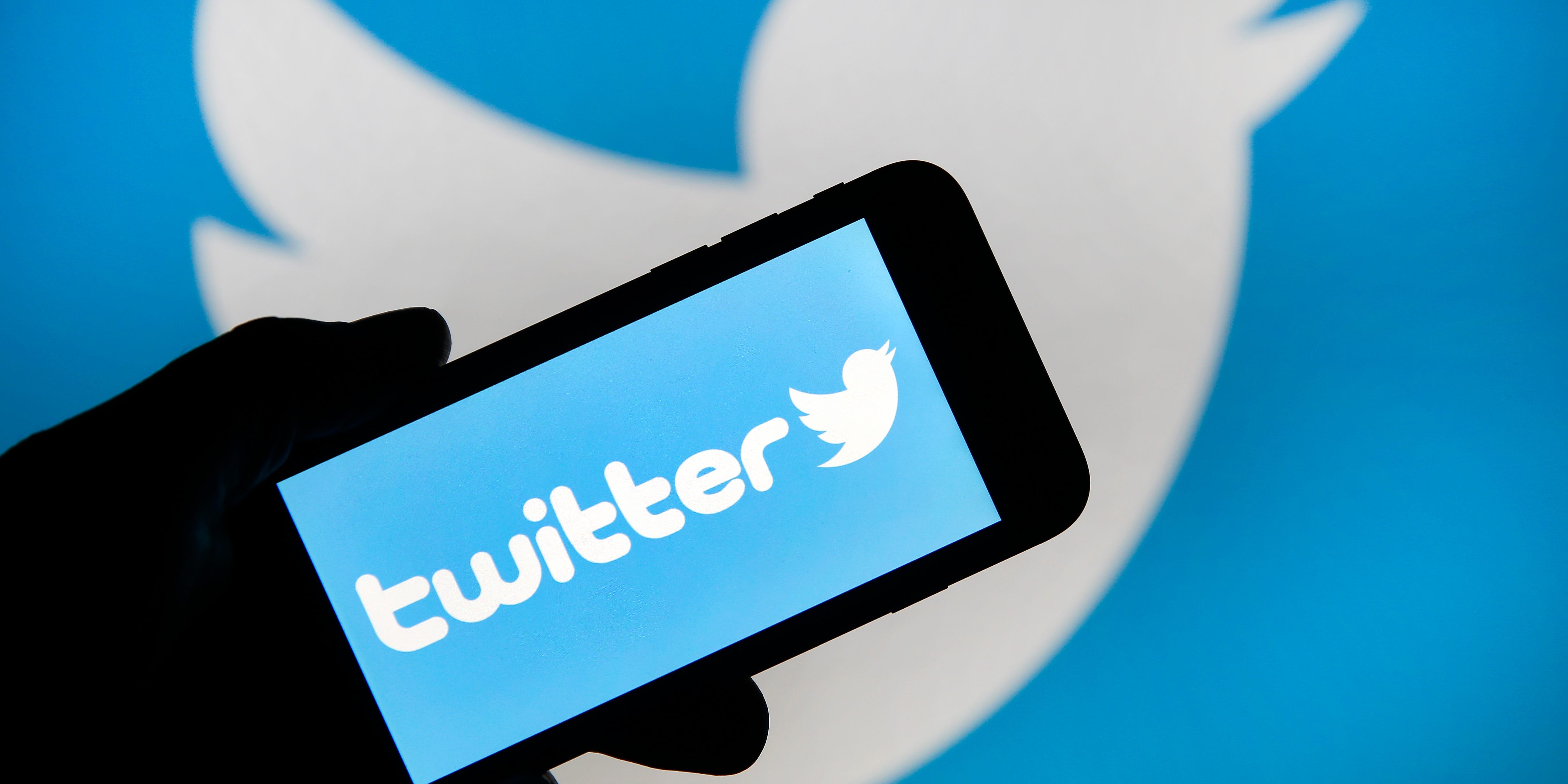 Ein Smartphone mit dem Twitter-Logo wird vor das Twitter-Vogel-Symbol gehalten.