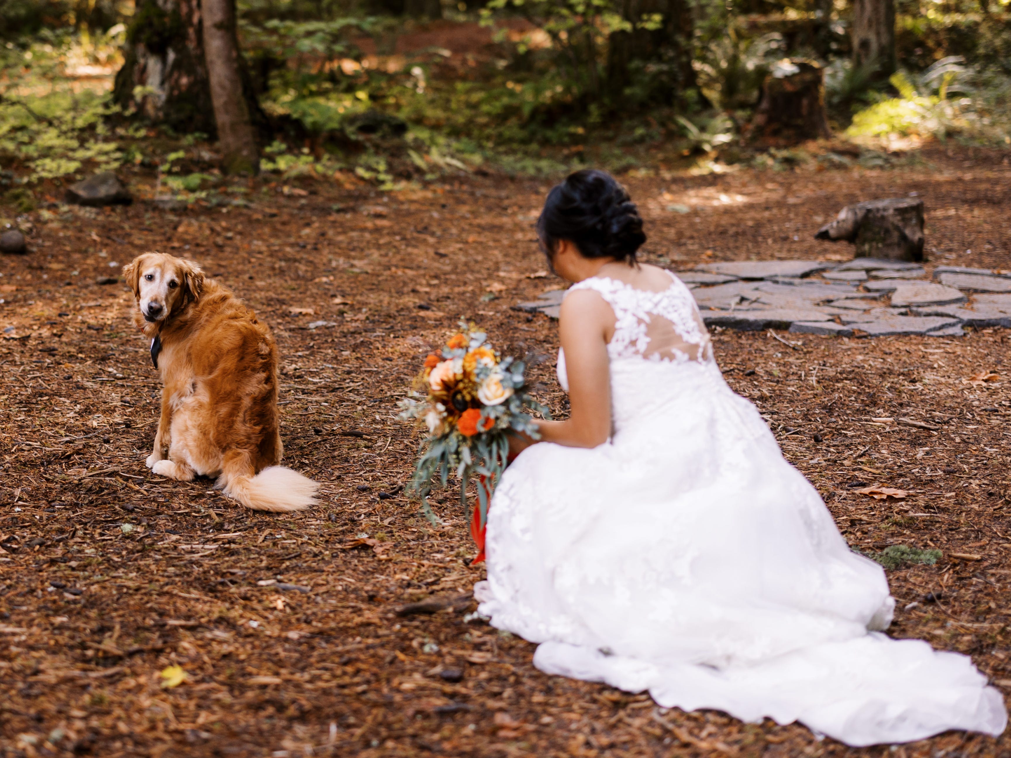 Golden Retriever blickt über die Schulter auf die auf dem Boden hockende Braut.
