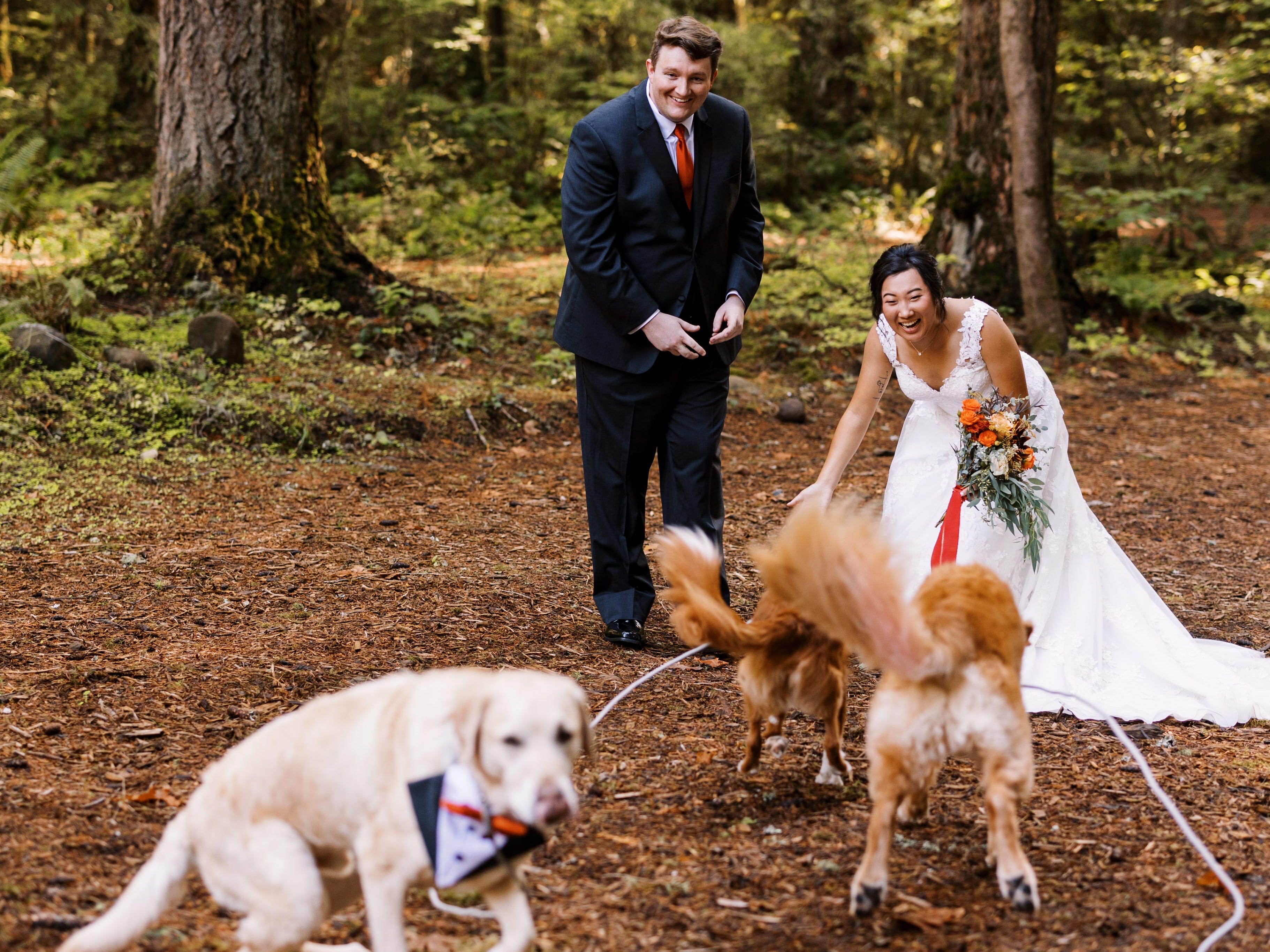 Braut und Bräutigam begrüßen zwei Hunde, die auf sie zulaufen, während ein anderer auf die Kamera zuläuft.