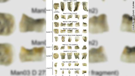 Die Unebenheiten und Haine sind ein bisschen wie Fingerabdrücke für Archäologen und geben Hinweise auf Abstammung und Verhalten.  Ebene E ist der Zahn des Homo sapien. 