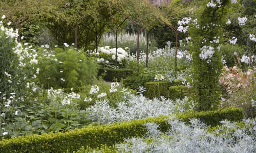 Weißer Kosmos, Wicken und Solanum im Weißen Garten von Sissinghurst Castle, Kent.