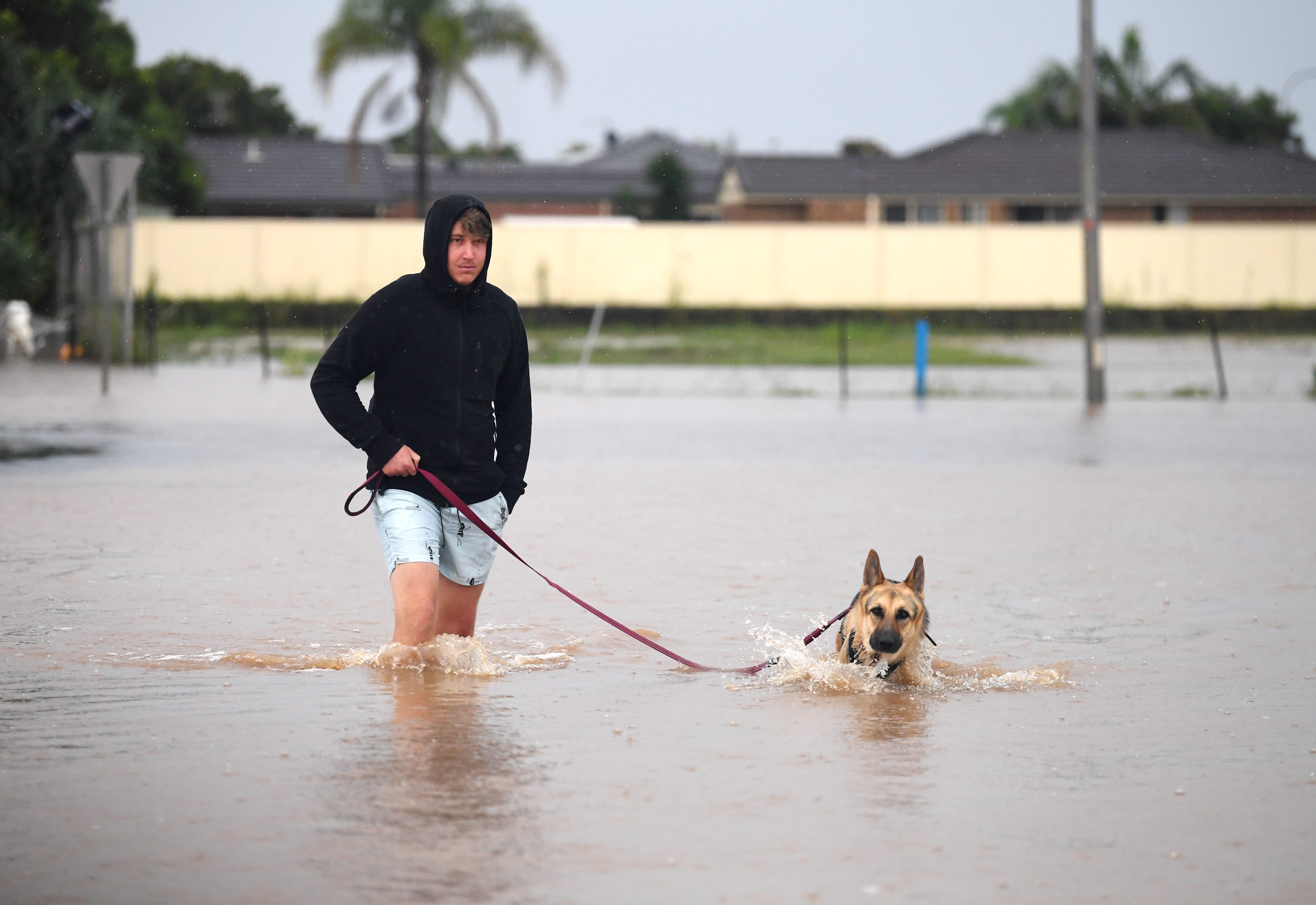 Ein Mann führt seinen Hund am 03. März 2022 in Ballina, Australien, durch eine überflutete Straße.