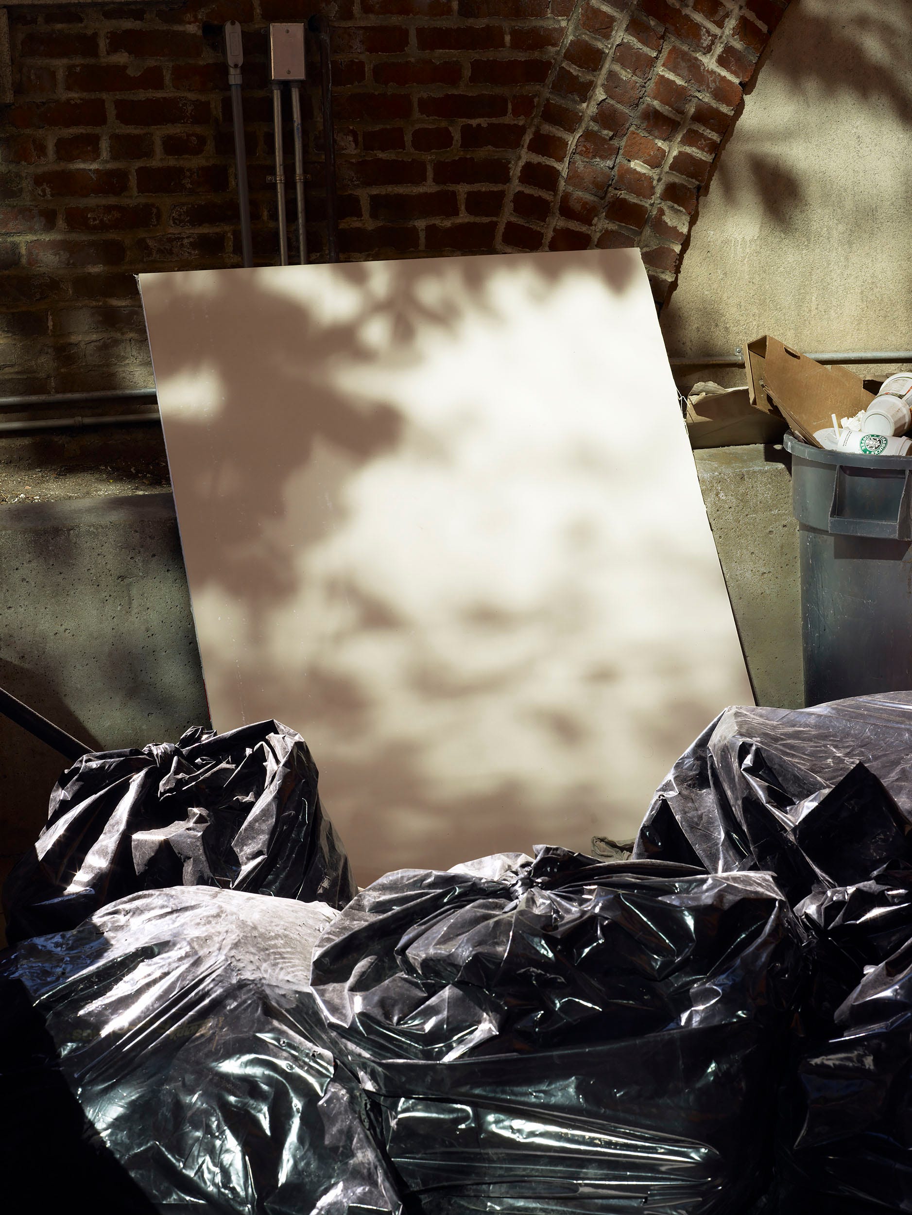 Ein Stück Pappe im gesprenkelten Sonnenlicht, umgeben von Müllsäcken.