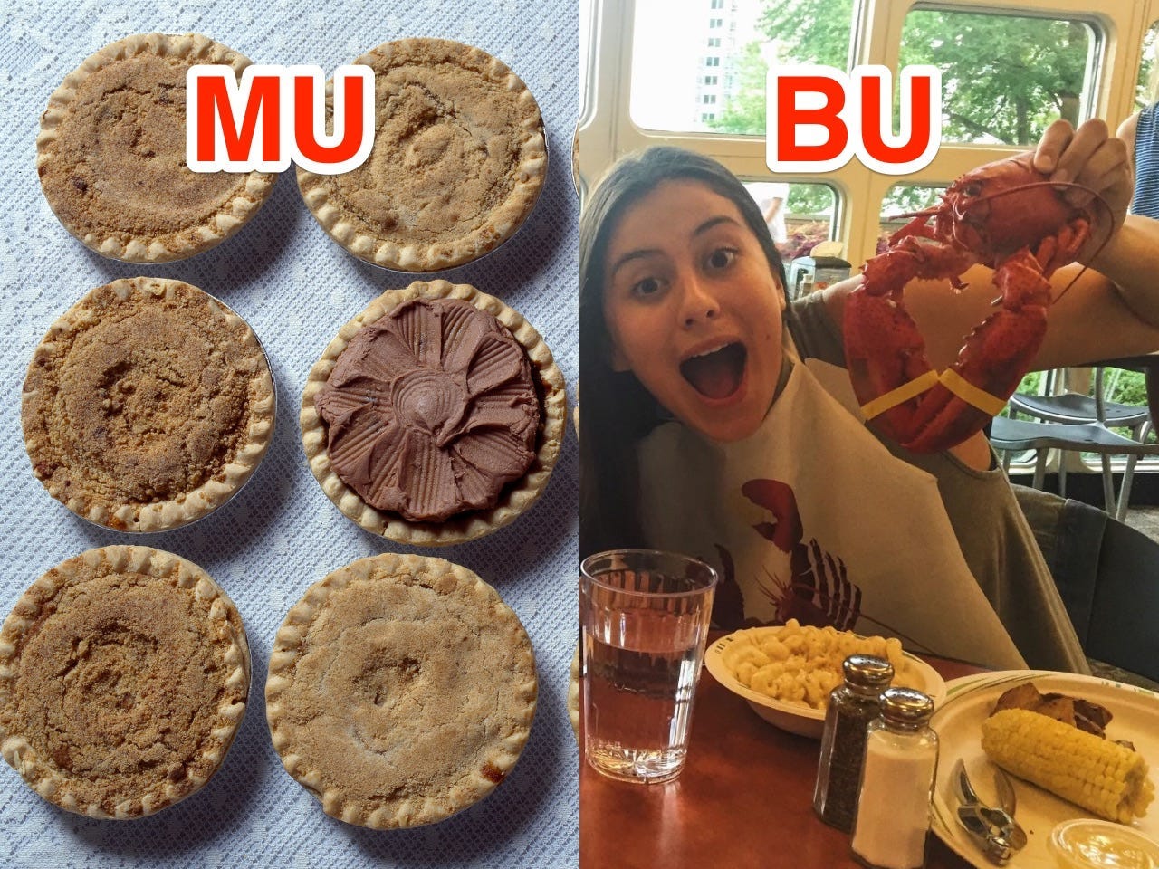 BU- und MU-Lebensmittelvergleich.