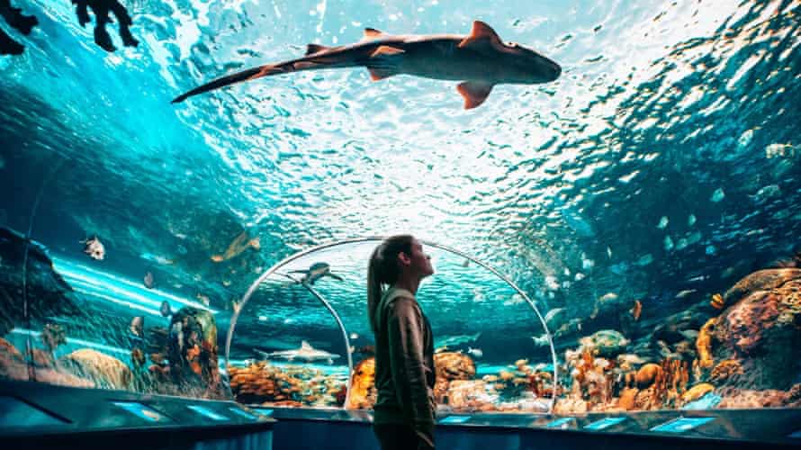 Ripleys Aquarium von Kanada