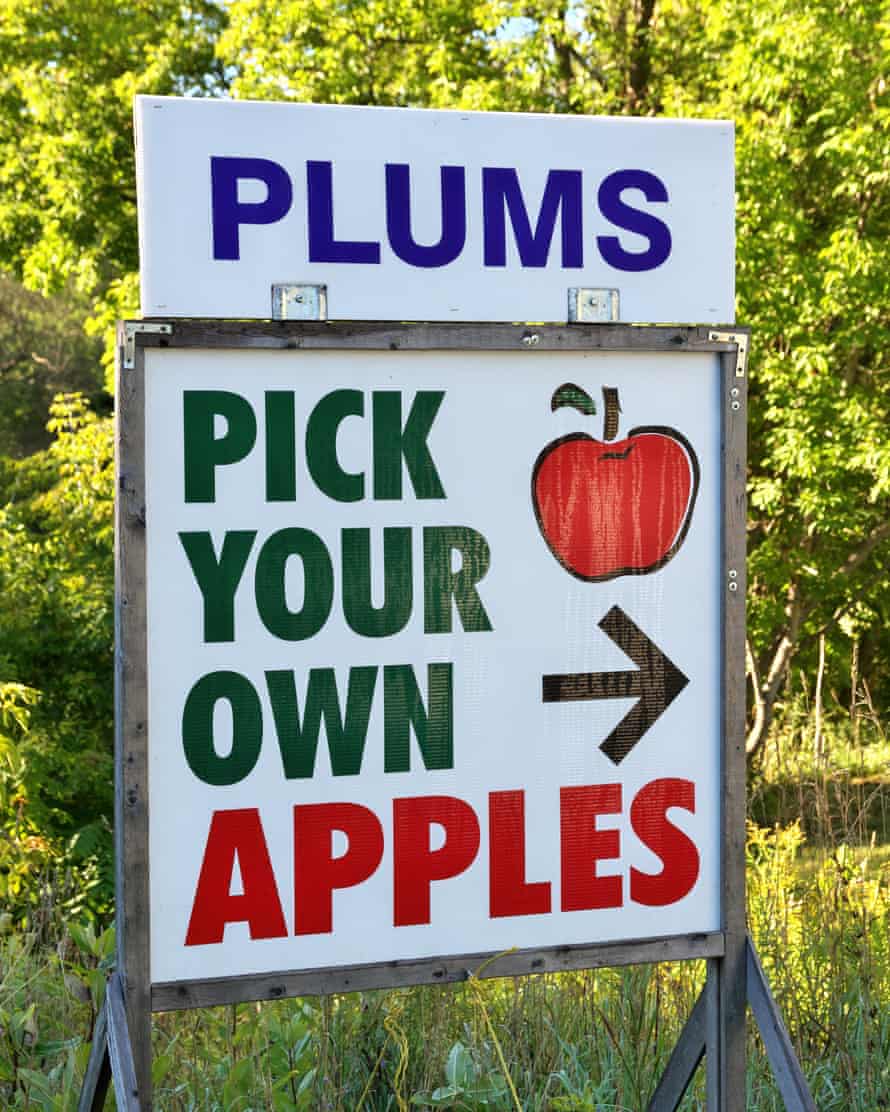 Rustikales Pflücken Sie Ihre eigenen Äpfel und Pflaumen Schild mit Pfeil nach rechts