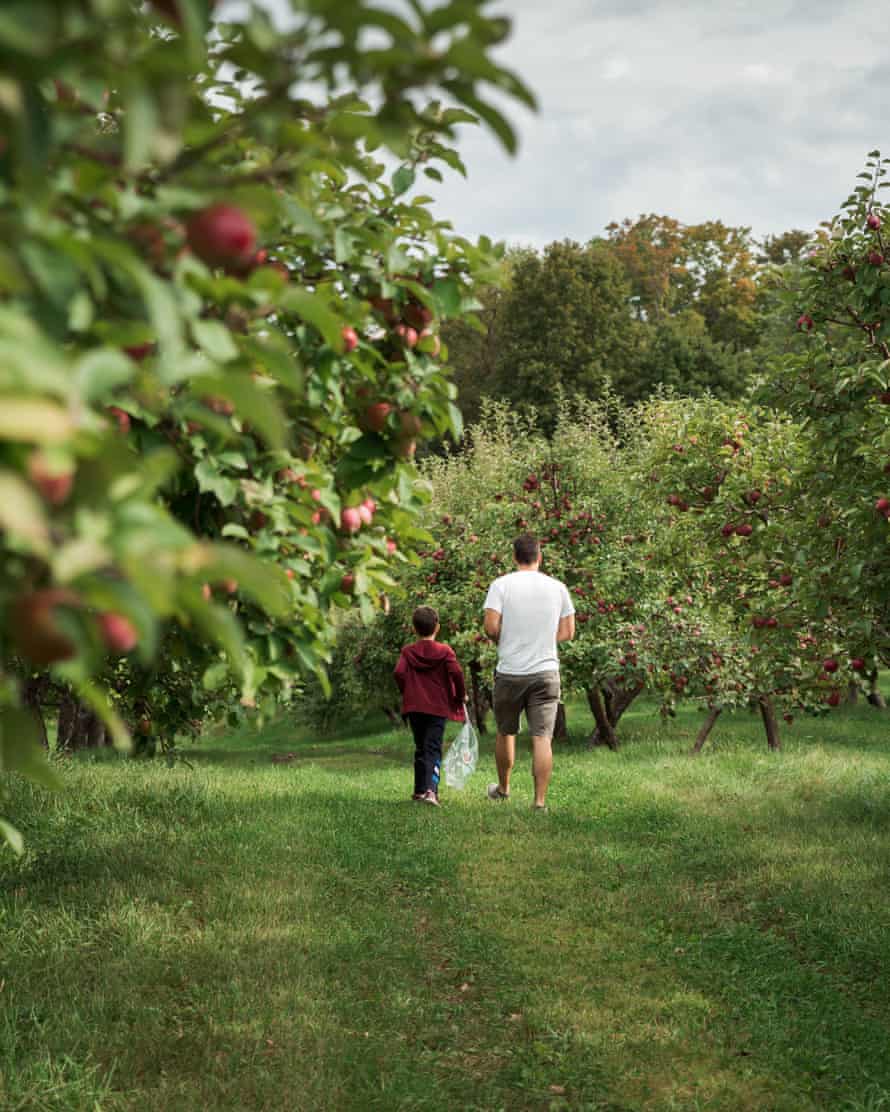 Vater und Sohn gehen im Herbst gemeinsam durch eine Apfelplantage.