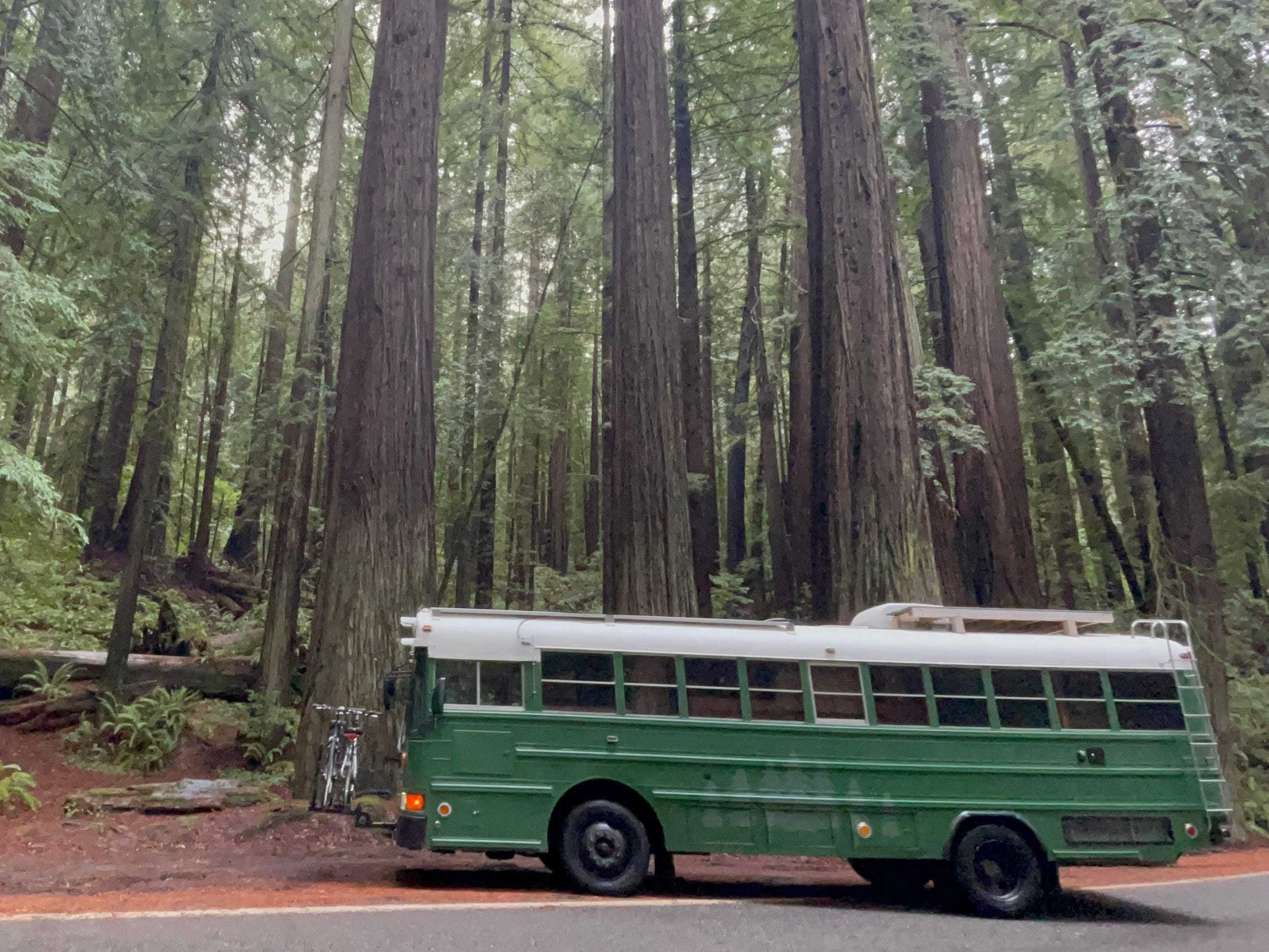 Grüner Schulbus neben riesigen Redwood-Bäumen im Wald