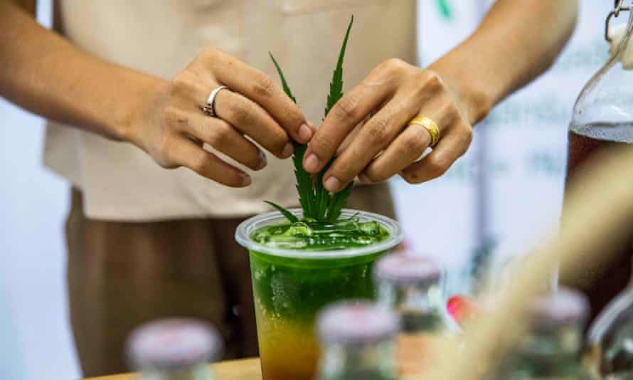 Thailändische Mitarbeiter des Gesundheitswesens infundieren Ganga-Extrakt in ein mehrstufiges Getränk