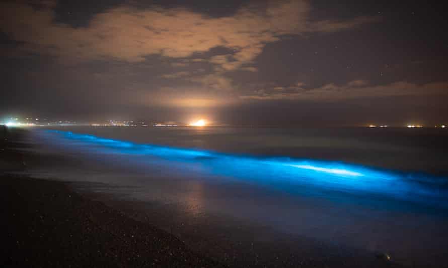 Biolumineszenz in den Wellen bei Westshore, Napier, Neuseeland.