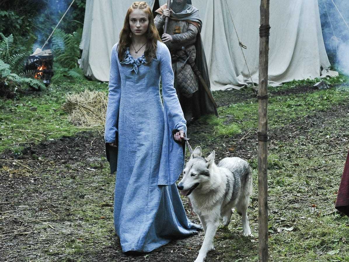 Sansa und Dame
