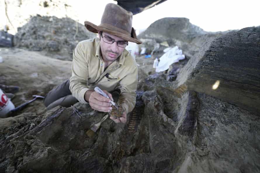 Ein Hauch von Indiana Jones … Paläontologe Robert DePalma in Tanis in North Dakota.